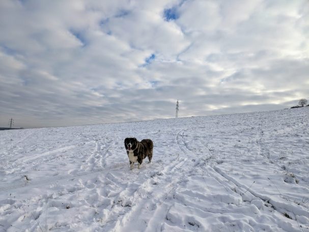 Winterwanderung am Ferienhaus