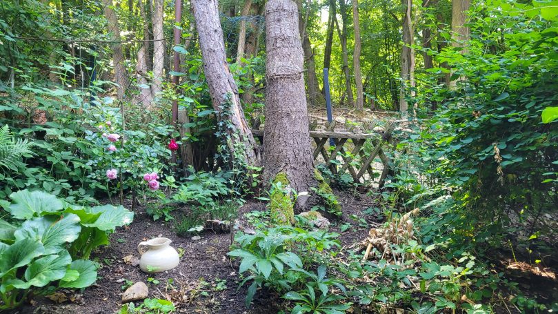 Garten am Waldrand